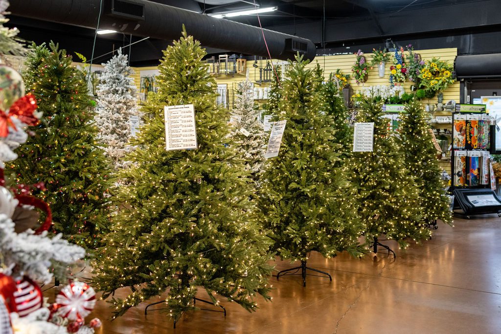 5 Ways To Shop Christmas Trees In Greenville