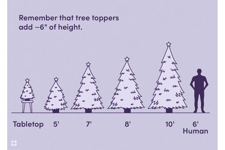 6 Christmas Tree Sizes To Fit Your Space