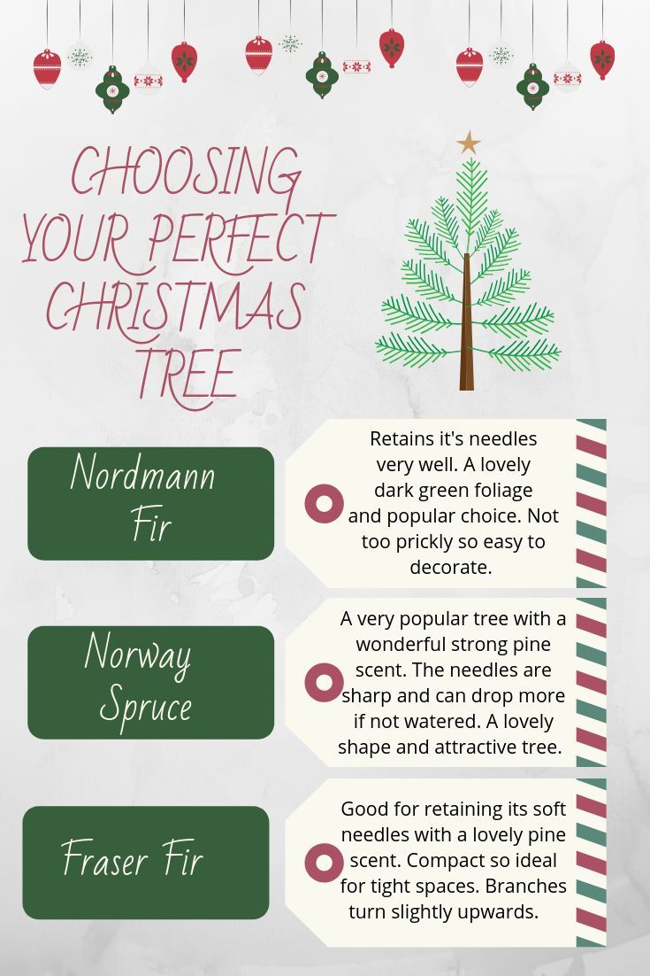 7 Tips For Choosing The Perfect U-Cut Christmas Tree