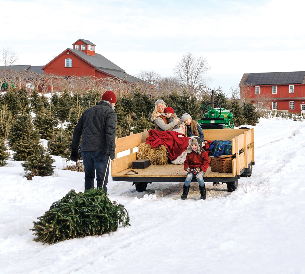 7 Ways To Celebrate Christmas At Jans Tree Farm