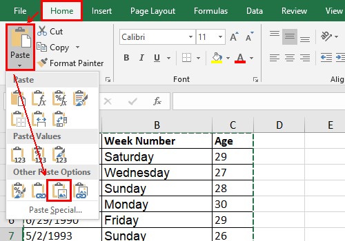 Copy Excel Table as Picture