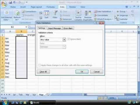 Excel Data Integrity