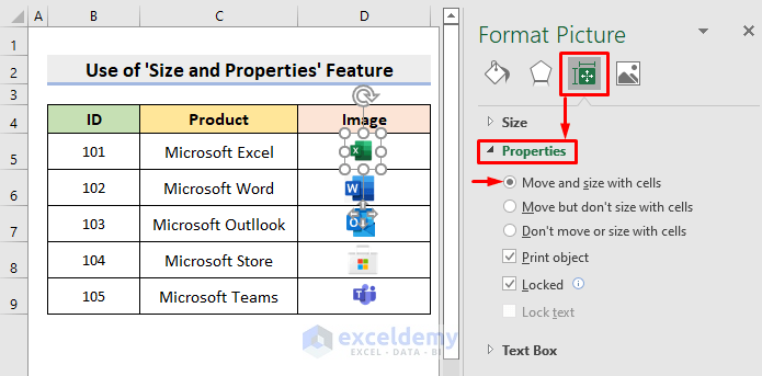 excel lock picture