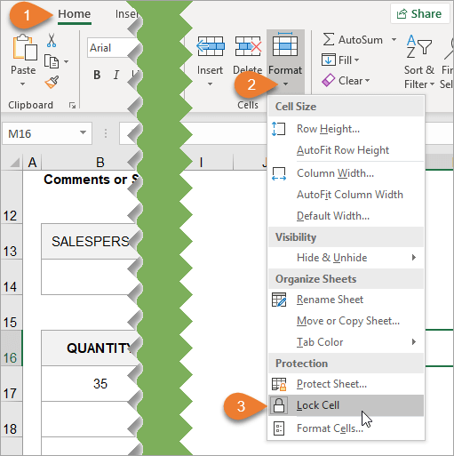 excel picture locking options