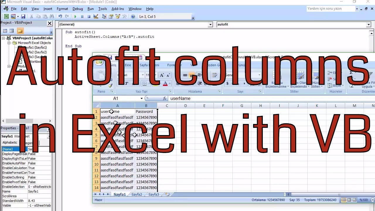 Excel VBA AutoFit Examples