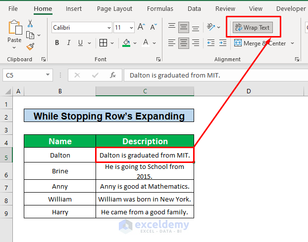 Excel Word Wrap Fix