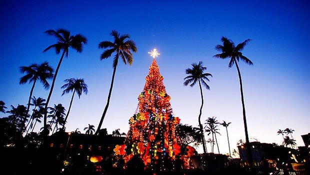 Hawaii Christmas Trees: A Tropical Holiday Tradition