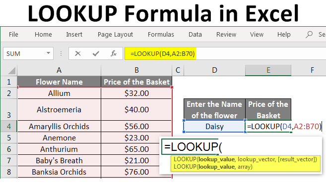 Lookup Formula