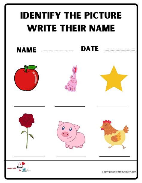 Name the Picture Worksheet Ideas