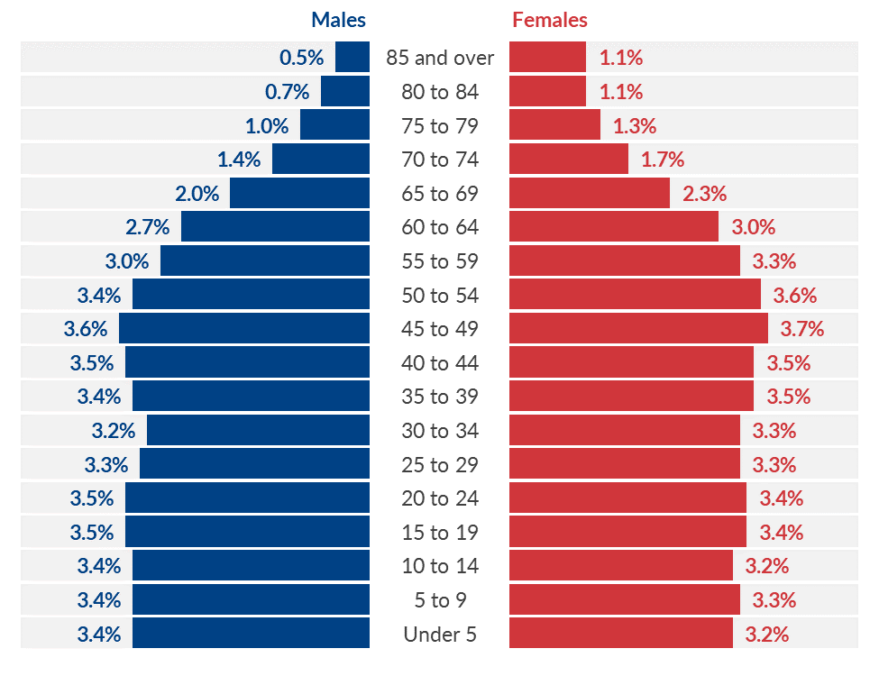 Population Pyramid Chart Example