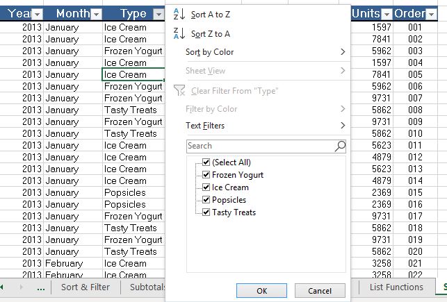 Using Excel Filters to Analyze Data